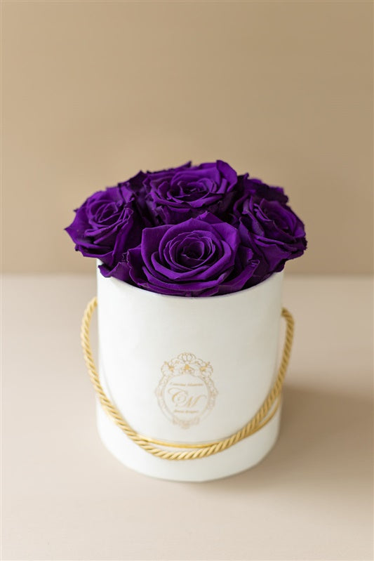 The White Gold Collection - Roses Purple