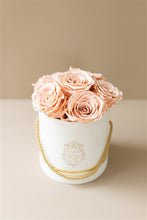 Carica l&#39;immagine nel visualizzatore di Gallery, The White Gold Collection - Roses Peach

