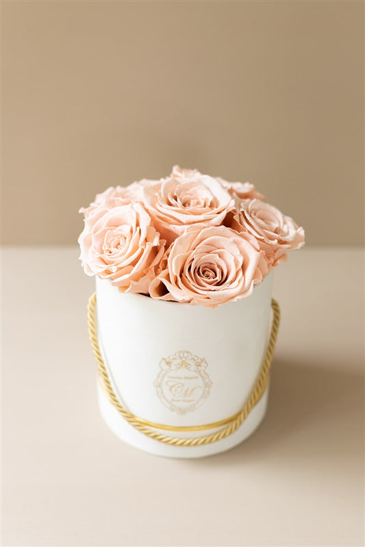 The White Gold Collection - Roses Peach