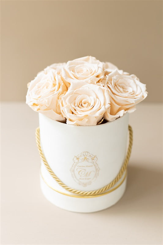 The White Gold Collection - Roses Champagne