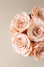 Load image into Gallery viewer, The White Gold Collection - Roses Peach
