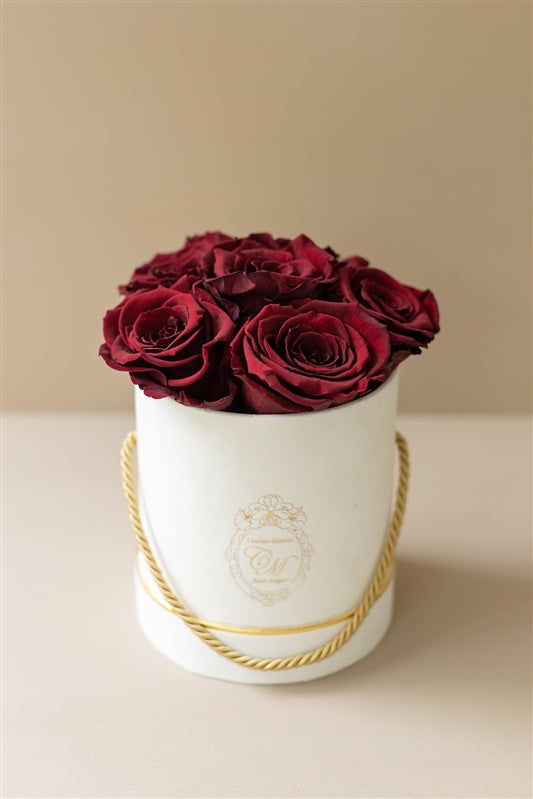 The White Gold Collection - Roses Bordeaux