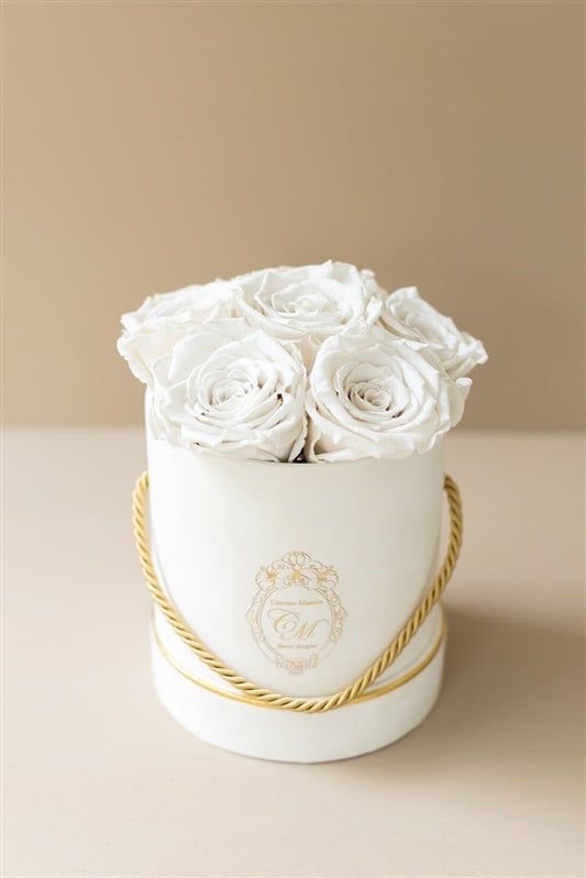 The White Gold Collection - Roses White